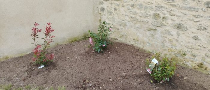 Jardin 2025 (10)