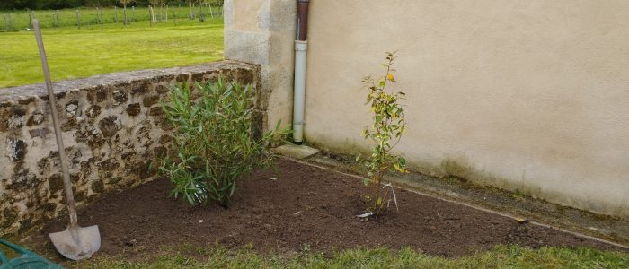 Jardin 2025 (12)