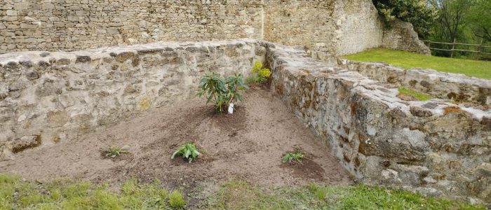 Jardin 2025 (9)